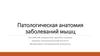 Патологическая анатомия заболеваний мышц