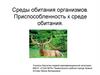 Среды обитания организмов. Приспособленность к среде обитания