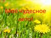 Мое чудесное лето