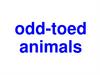 Odd-toed animals