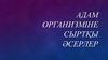 Адам организміне сыртқы əсерлер