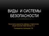 Виды  и системы безопасности