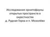 Исследования орнитофауны открытых пространств в окрестностях д. Рудная Горка и п. Мозолёво