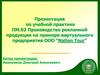 Производство рекламной продукции на примере виртуального предприятия ООО "Nation Tour"