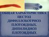 Общая характеристика цестод дифиллоботриоз плотоядных. Дипилидиоз плотоядных