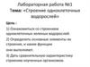 Строение одноклеточных водорослей. Лабораторная работа №1