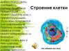 Строение клетки