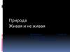 Природа живая и не живая