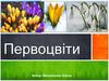 Первоцвіти