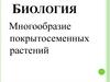 Многообразие покрытосеменных растений