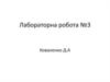 Лабораторна робота №3