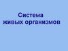 Система живых организмов