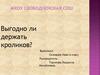 Выгодно ли держать кроликов