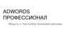 Adwords профессионал. Модуль 2: настройка поисковой рекламы