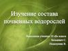Изучение состава почвенных водорослей
