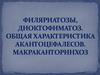 Филяриатозы. Диоктофимоз. Акантоцефалезы
