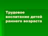 Трудовое воспитание детей раннего возраста