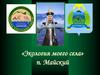 Экология моего села. Село Майский