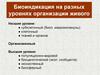 Биоиндикация на разных уpовнях организации живого