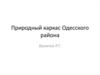 Природный каркас Одесского района