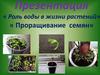 Роль воды в жизни растений.  Проращивание семян