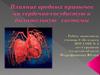 Влияние вредных привычек на сердечно-сосудистую и дыхательную системы