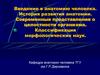 Анатомия человека. История развития анатомии. Представления о целостности организма. Классификация морфологических наук