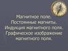 Магнитное поле. Постоянные магниты. Индукция магнитного поля. Графическое изображение магнитного поля
