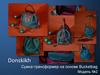 Donskikh. Сумка-трансформер на основе Bucketbag (модель 2)