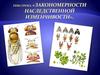 Закономерности наследственной изменчивости