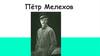Пётр Мелехов