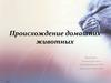 Происхождение домашних животных