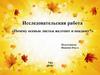 Исследовательская работа «Почему осенью листья желтеют и опадают?»