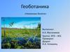 Геоботаника. Низинные болота