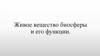 Живое вещество биосферы и его функции