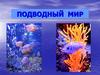 Подводный мир