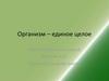 Организм, как единое целое