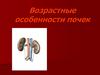 Возрастные особенности почек