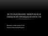 Использование микробов в пищевой промышленности