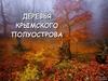 Деревья Крыма. Дикоросы