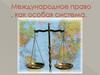 Международные нормы и принципы в правовой системе России