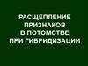 Расщепление признаков в потомстве при гибридизации. Закон Менделя