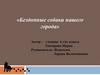 Бездомные собаки нашего города