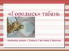 Городысь табань