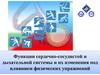 Функции сердечно-сосудистой и дыхательной системы и их изменения под влиянием физических упражнений