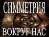 Симметрия вокруг нас