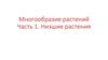 Многообразие растений. Низшие растения.  Часть1