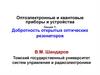 Добротность открытых оптических резонаторов