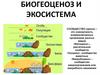 Биогеоценоз и экосистема