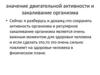 Значение двигательной активности и закаливание организма